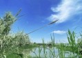 武汉湿地公园哪个值得去？即将建成的安山湿地公园很不错