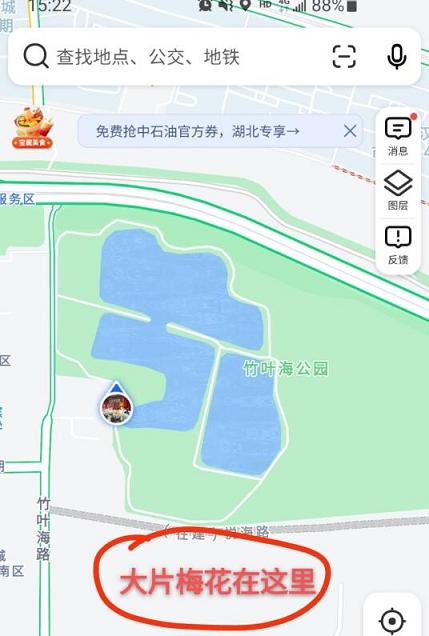 2022武汉免费赏梅花的地方地图位置—努力达