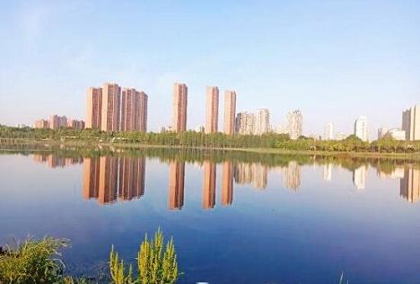 武汉张毕湖湿地公园景色——努力达